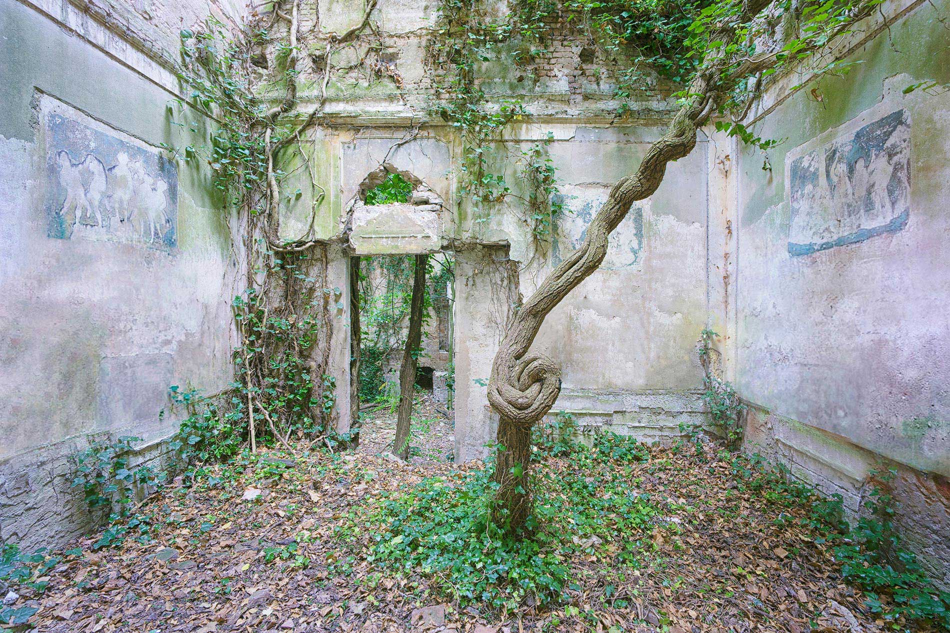 Urbex La Fricherie The victory of nature 6